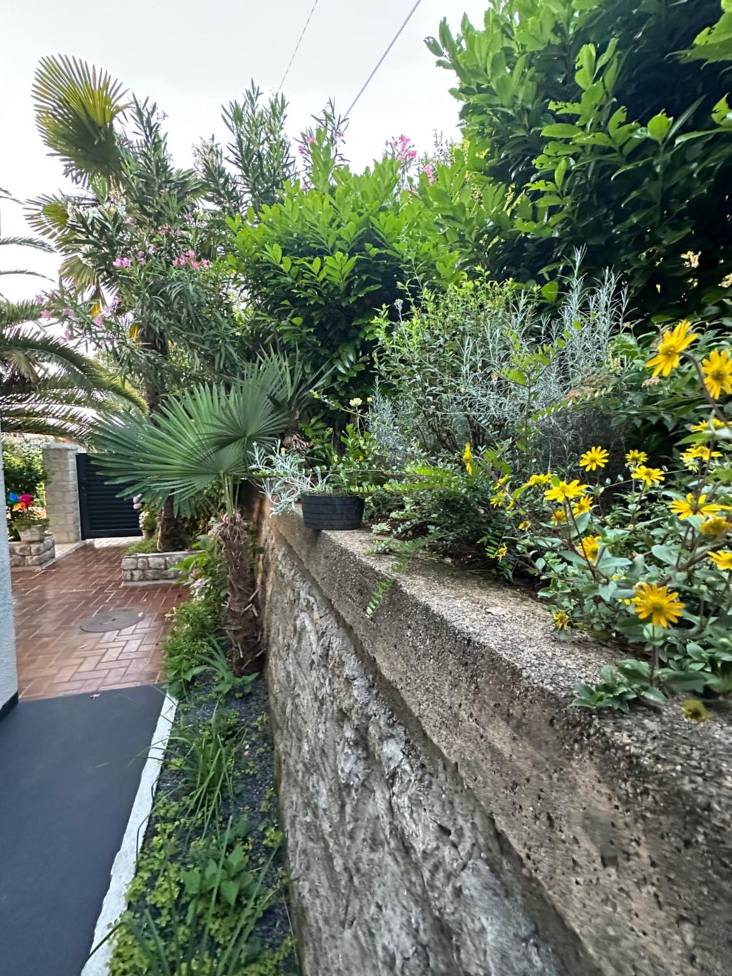 Vacation Home Lucija Slatina  المظهر الخارجي الصورة