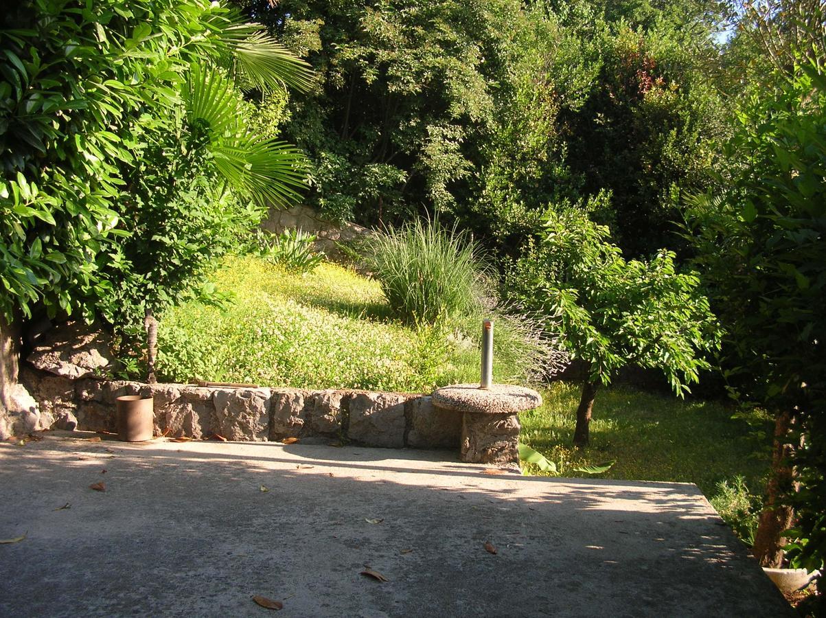 Vacation Home Lucija Slatina  المظهر الخارجي الصورة