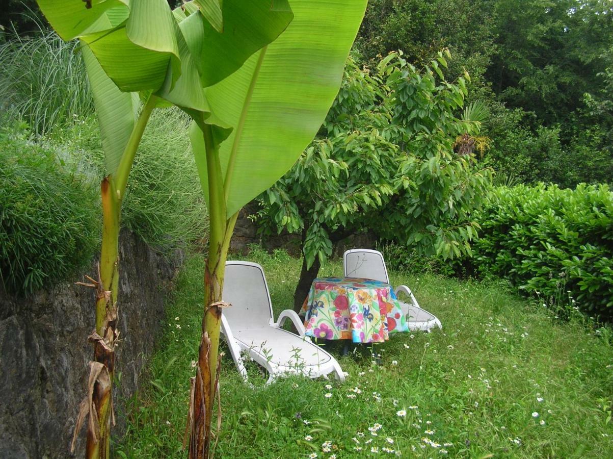 Vacation Home Lucija Slatina  المظهر الخارجي الصورة